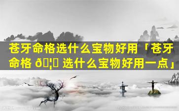 苍牙命格选什么宝物好用「苍牙命格 🦁 选什么宝物好用一点」